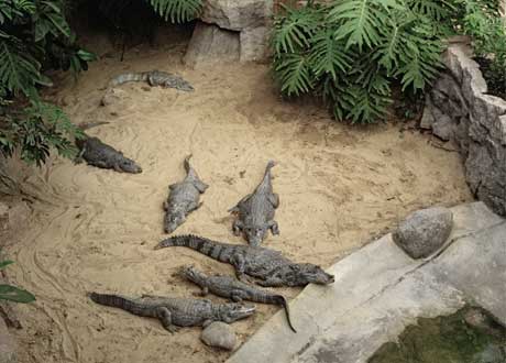 Candida Höfer Zoologische Gärten Rena Bransten Gallery